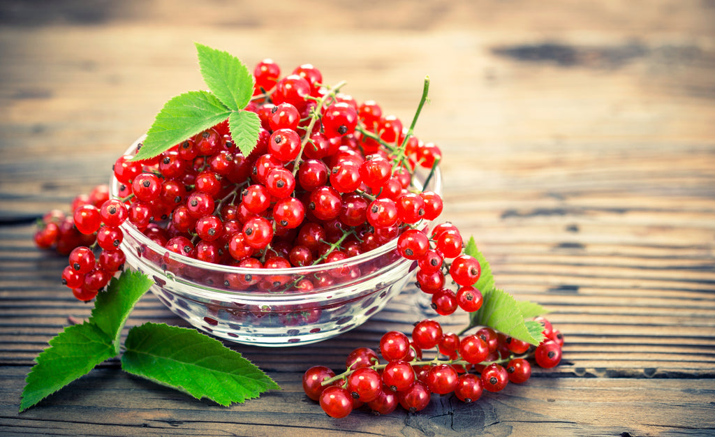 24 Proven Health Benefits of Currant