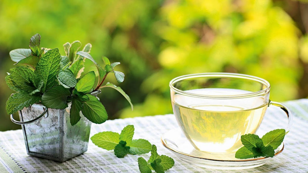 21 Proven Health Benefits of Mint Tea